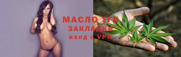 гидра Володарск