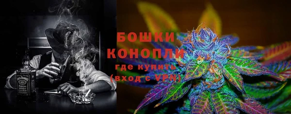 гидра Володарск