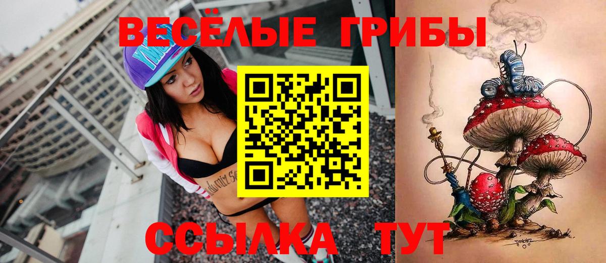 Галлюциногенные грибы мицелий  Гуково 