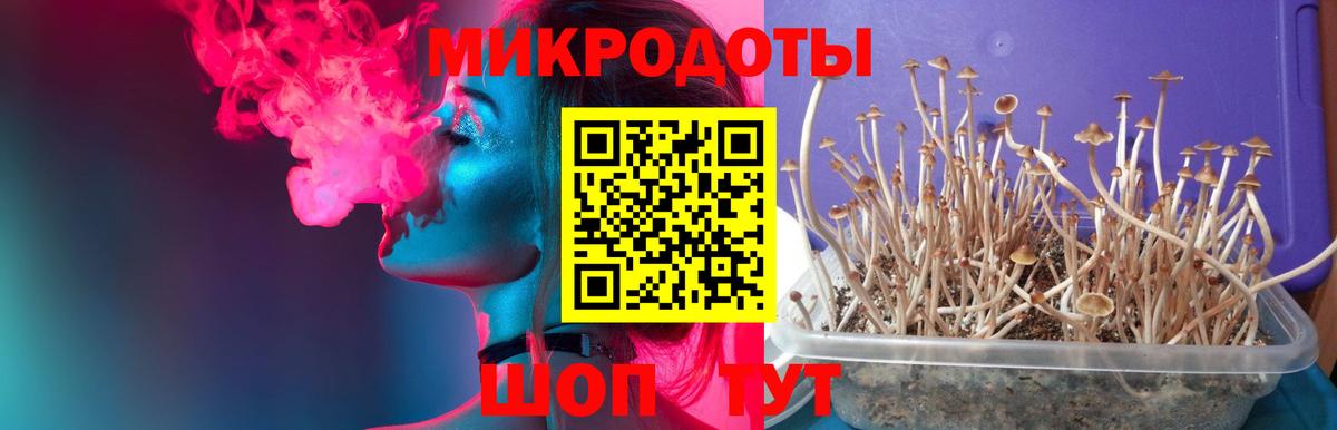 Гуково  Галлюциногенные грибы GOLDEN TEACHER  Вход с VPN 